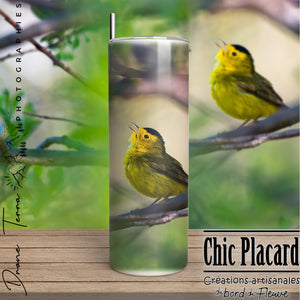 Black-capped Warbler - Drone Terra - Stainless Steel Tumbler