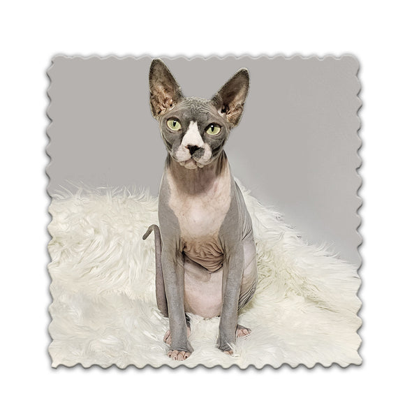 Coco le sphynx - Lingette hyperdouce en microfibre