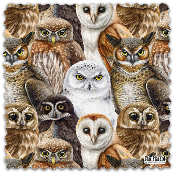Chouettes - Lingette hyperdouce en microfibre