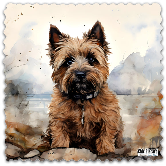 Chien - Lingette hyperdouce en microfibre