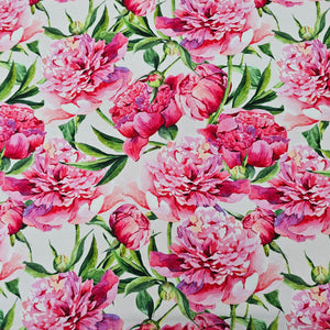 Pivoines - Tricot de coton 230 gsm (au 1/2m)