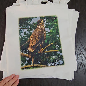 Sac en toile - Drone Terra - Pic & oiseau